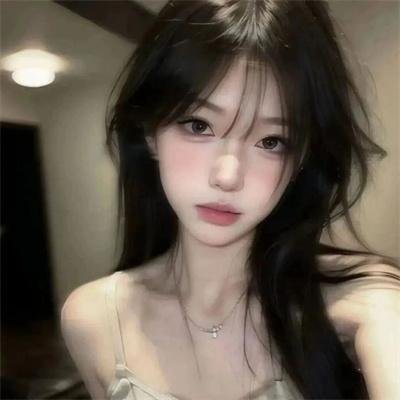 舞宫双凤