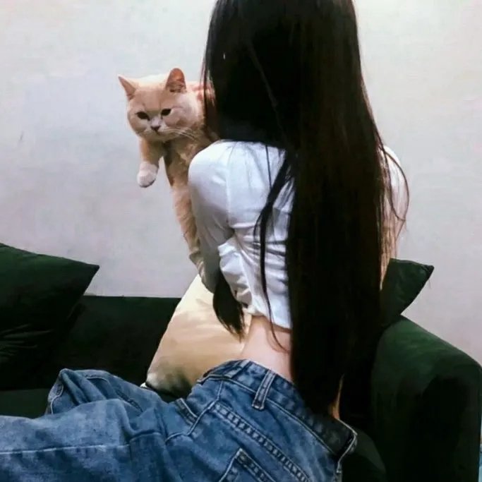 我的明星村长